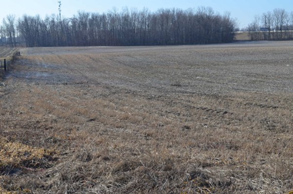 East Allen County - 55 Acre Land Auction